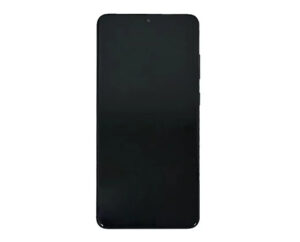 Original Amoled Screen Assembly without Frame For Samsung Galaxy S20 Ultra 5G